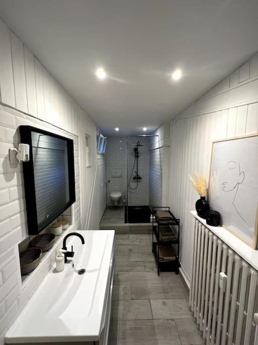 Superbe Duplex En Hyper Centre Apartman Saint-Etienne  Kültér fotó