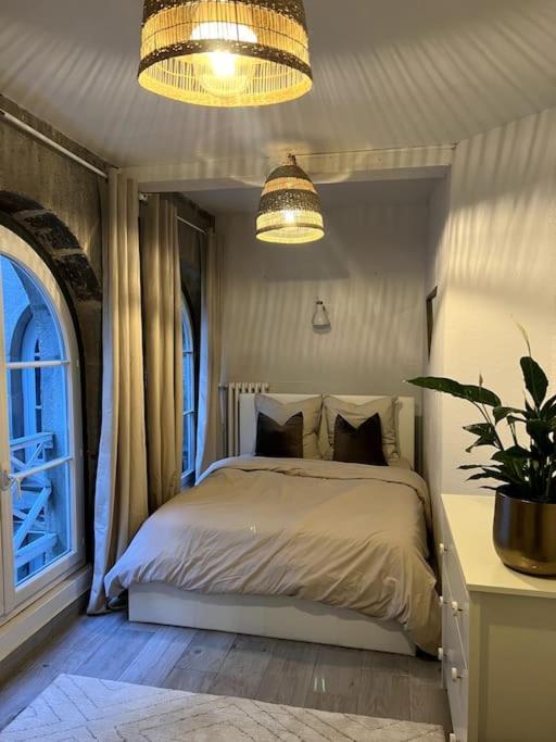 Superbe Duplex En Hyper Centre Apartman Saint-Etienne  Kültér fotó